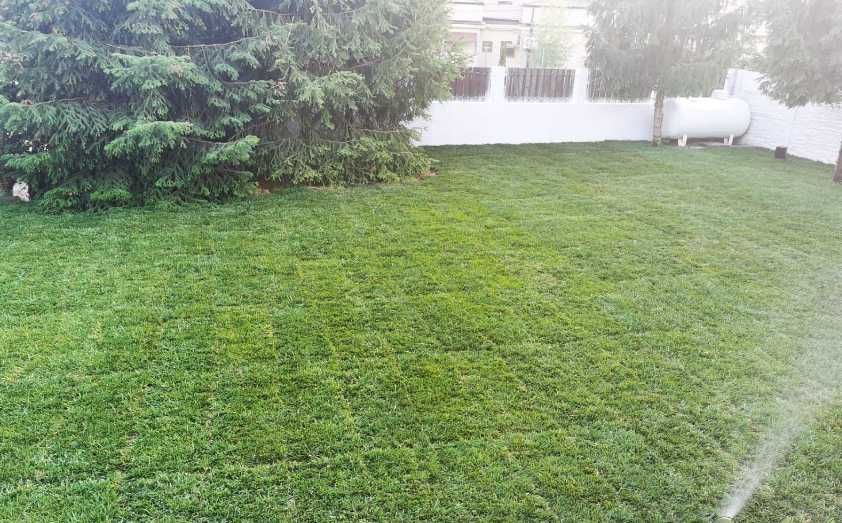 Gazon Rulou Sport sau Rustic