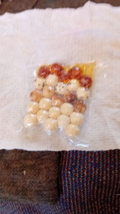 Chiroygayam tamgayam ega bogan qurtla bor