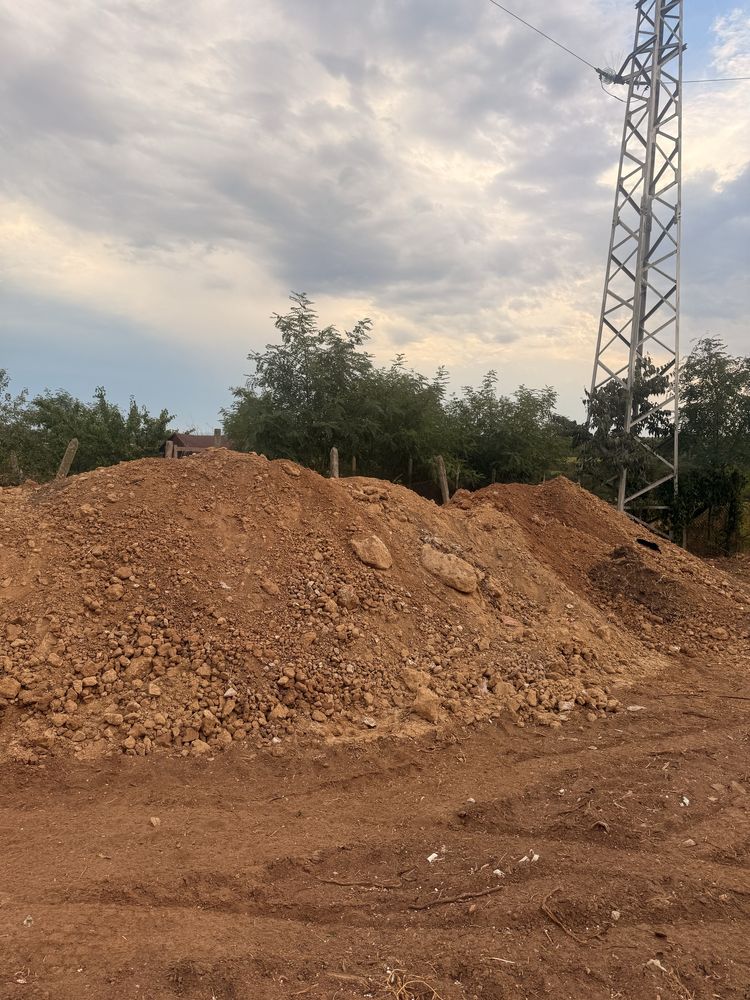 Подарявам кафява пръст чиста БЕНКОВСКИ