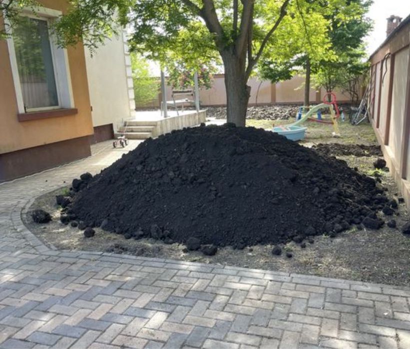 Pamant negru (vegetal)