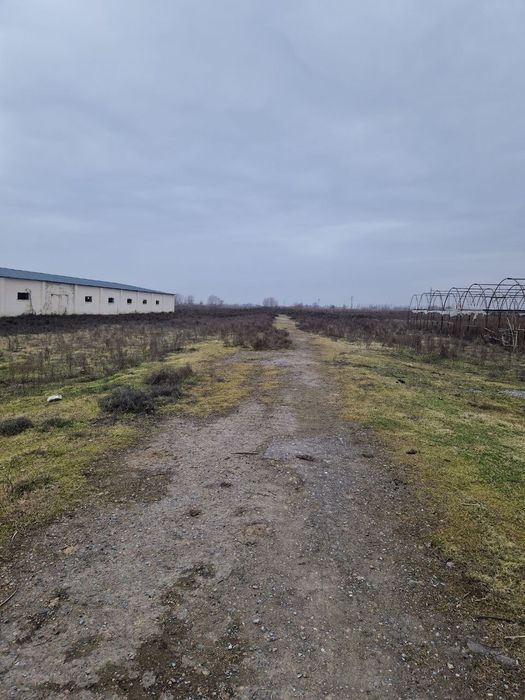 Йер бизнес учун 9 гектар