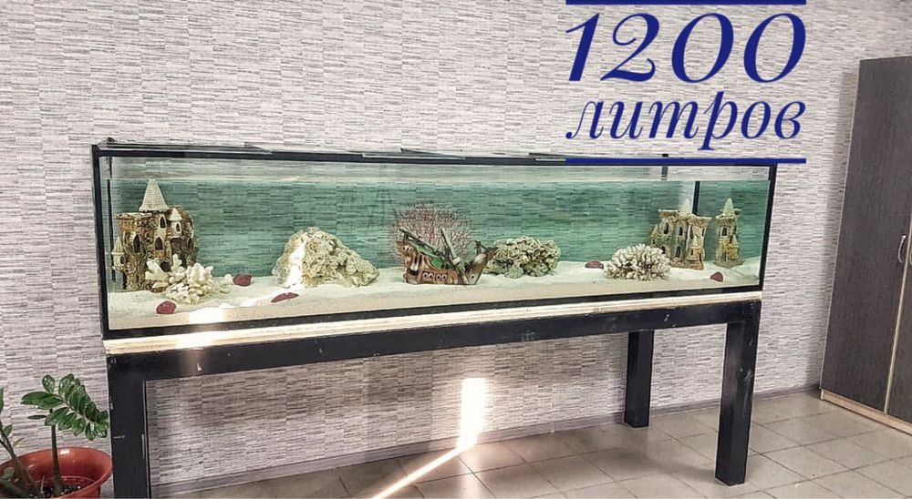 Эксклюзивные аквариумы под заказ