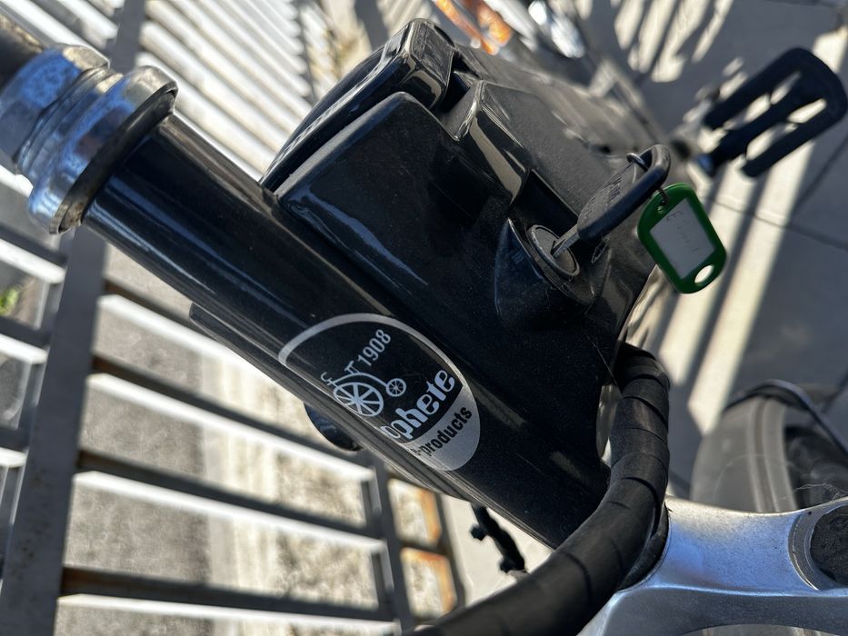 Bicicleta si trotineta electrica