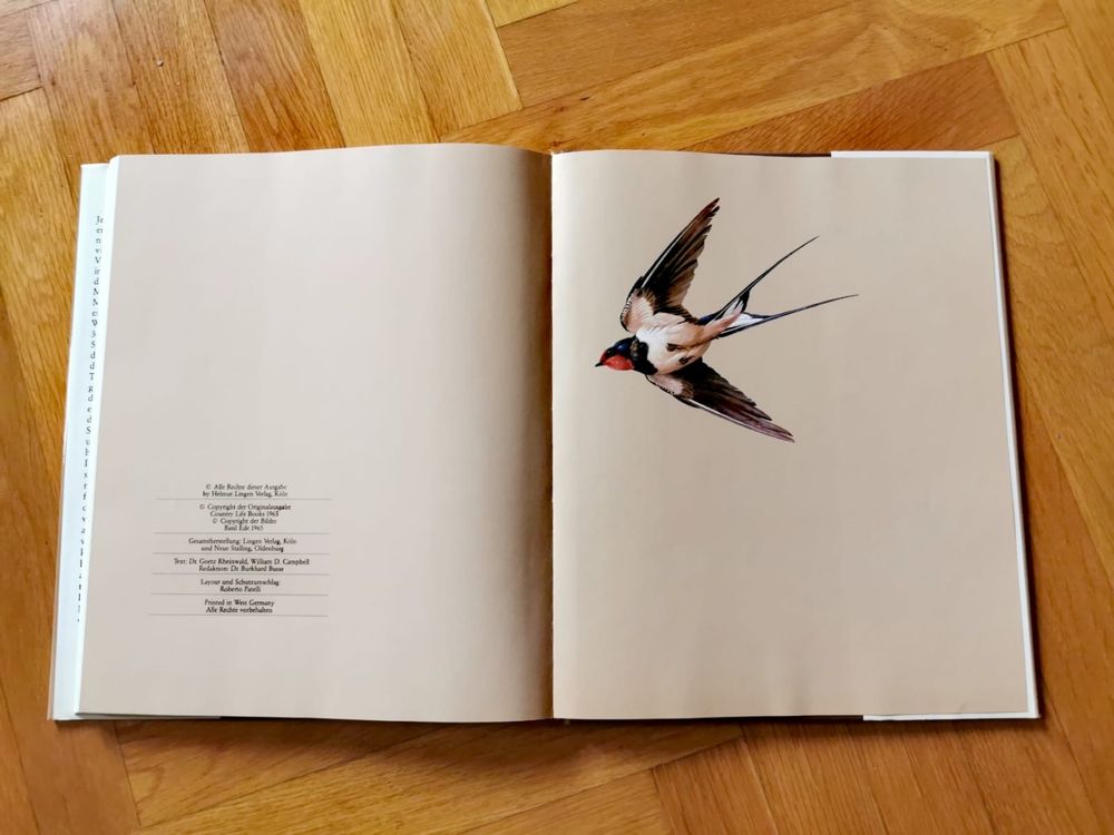 Книга за птиците Нашият красив птичи свят >36 завладяващи картини !