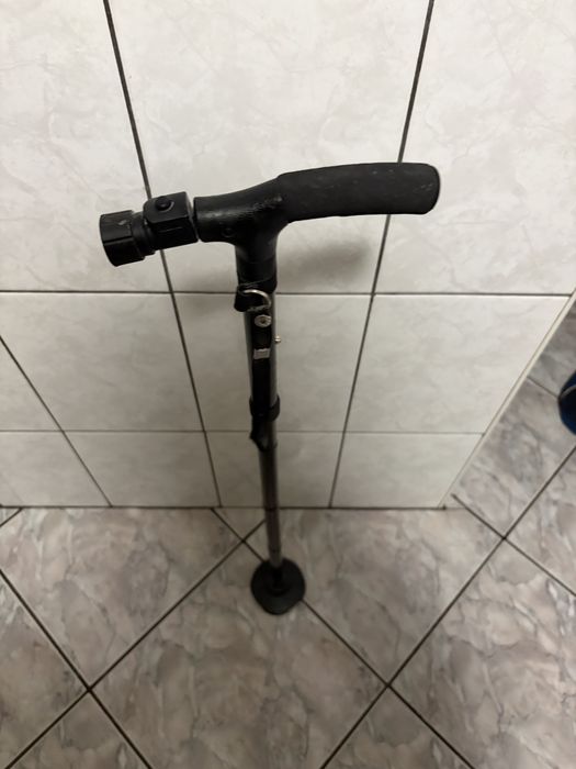 Baston varsnici cu latenta