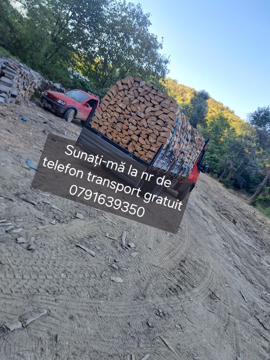 Lemne de vânzare fag și stejar salcâm