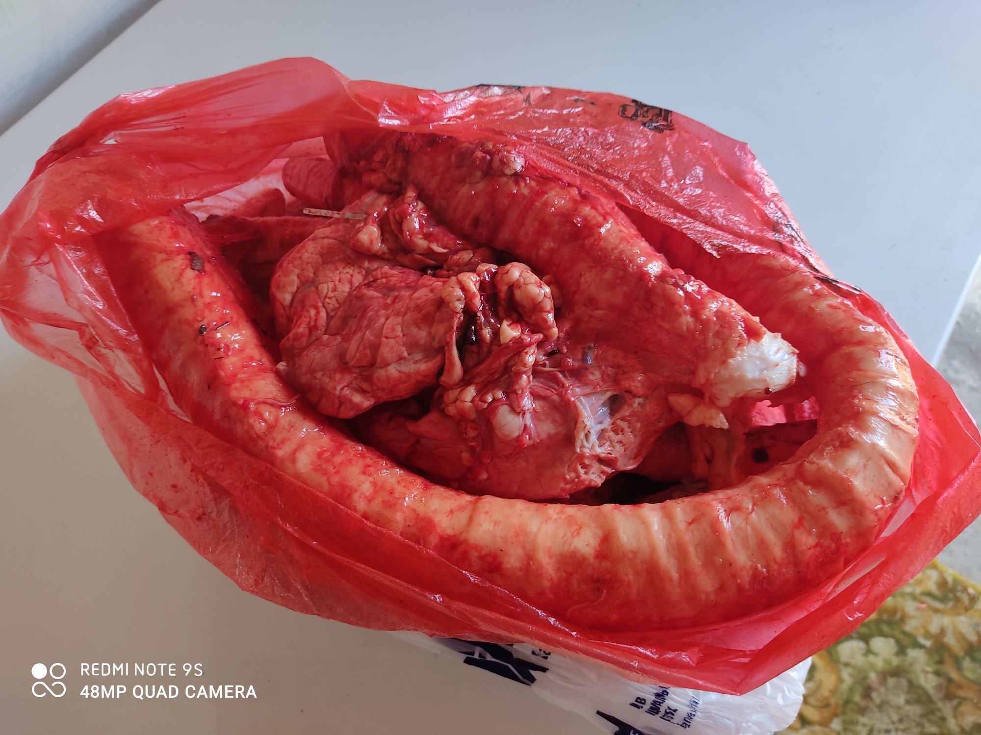 Мясо для собак  свежее