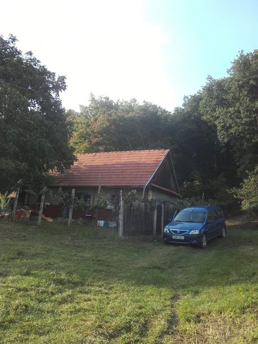 Casa și teren Vingard Alba