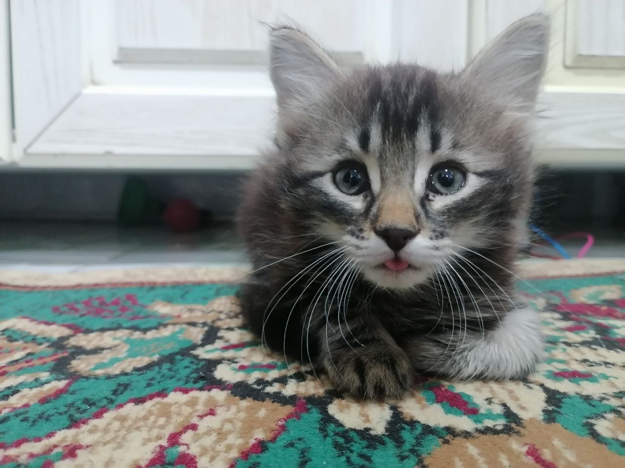 Yaxshi qo'lar uchun tekin