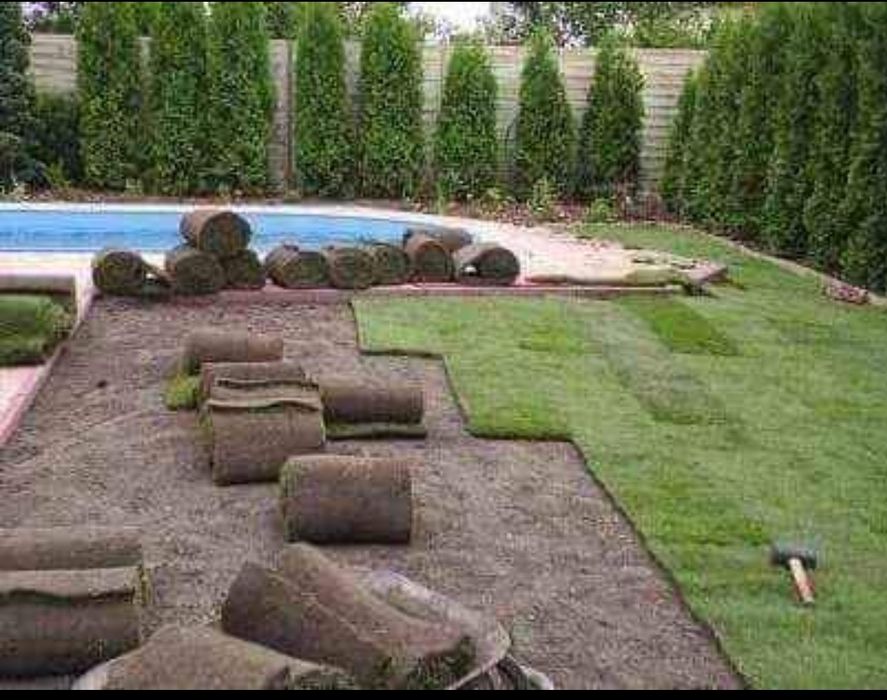Gazon rulou rustic plasa anti cartita