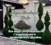 Профессиональная обрезка