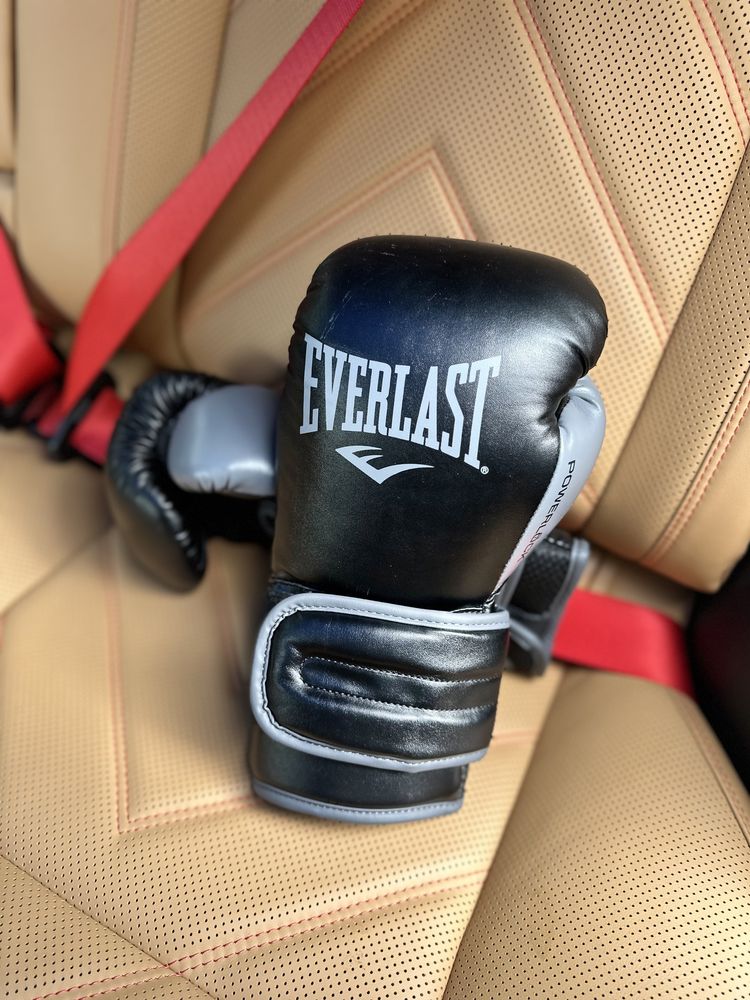 Боксерские перчатки Everlast 10 р-р