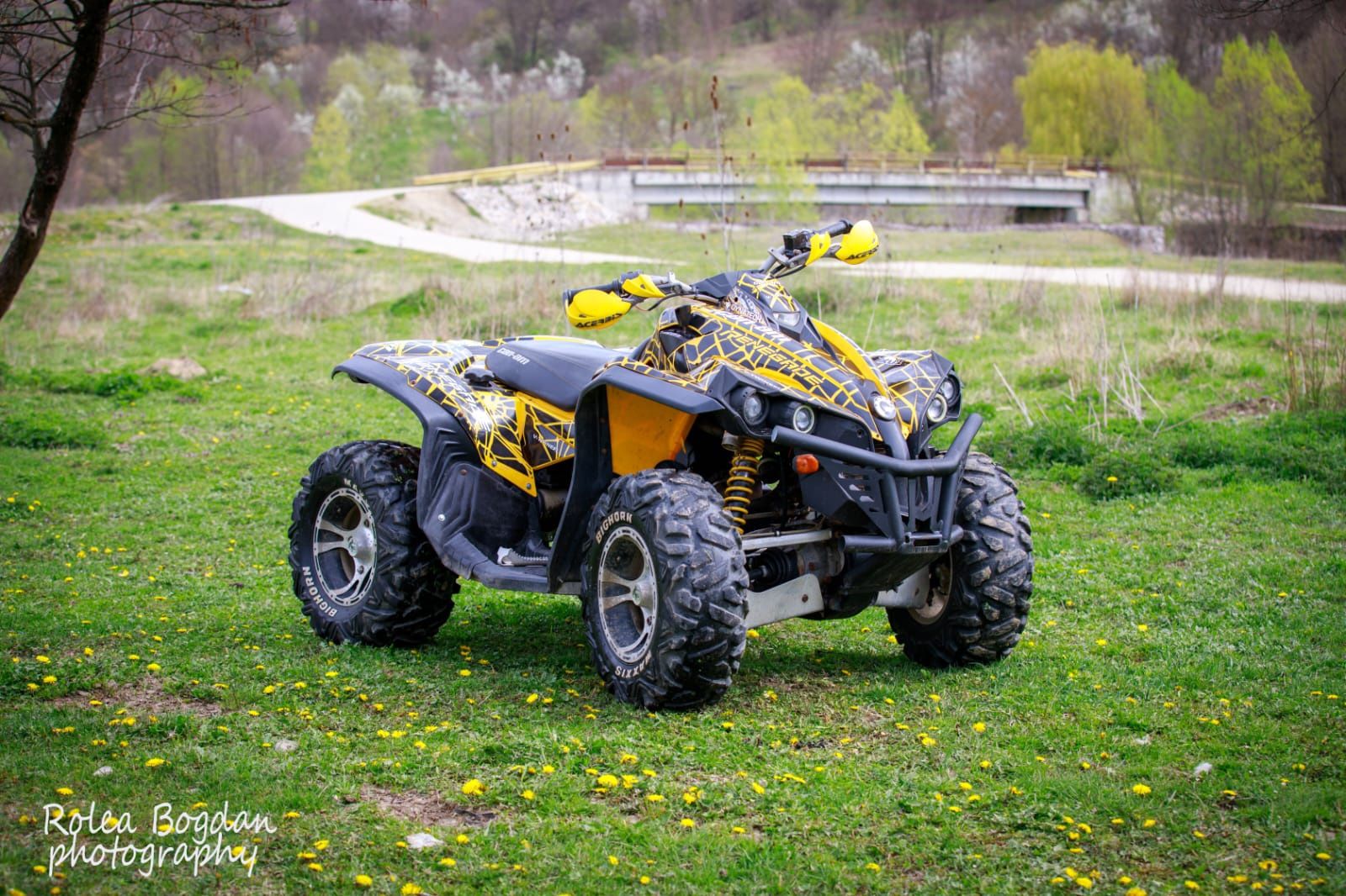 Can Am  800 2008