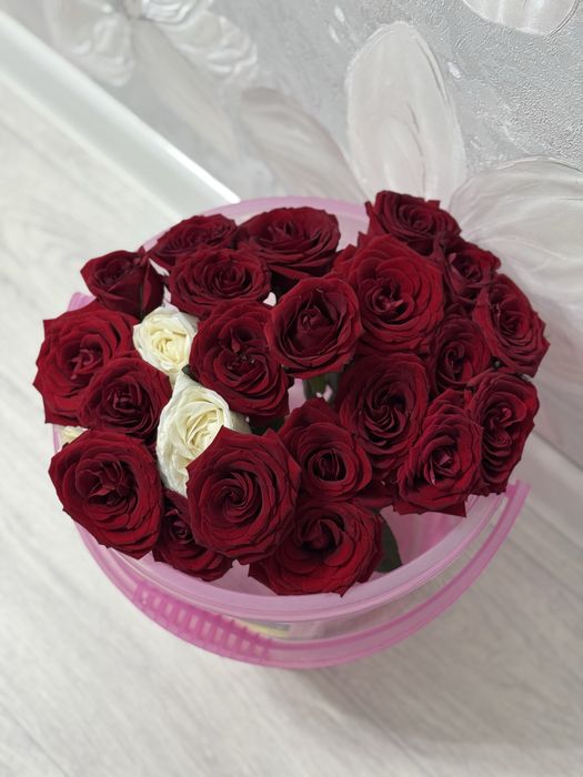 красные розы , свежие