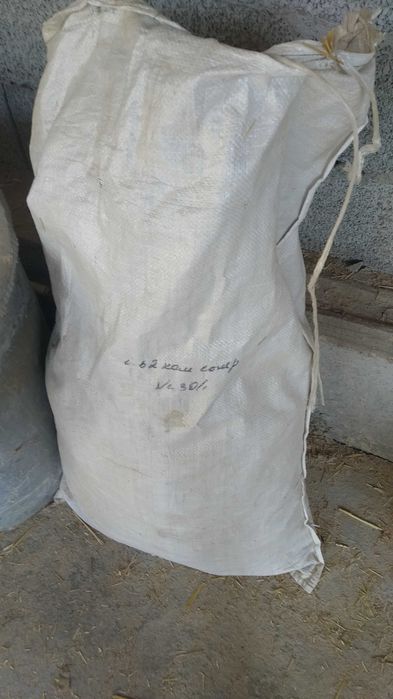 Mol tezaki bor eleklangan