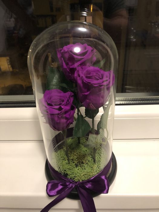 Cupole cu trandafiri criogenati conservati