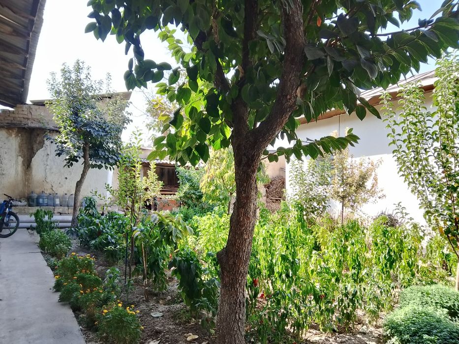 Uy qurib sotadiganlar uchun zo'r variant