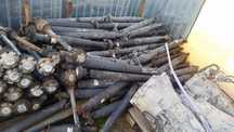 Cardan bmw e87,e90,e91,x1,x3,x4,e60,f10,f01,f11,f20,f30,f31,f34,f36