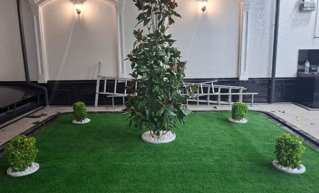 Gazon. Archalar. Landshaft. Gullar