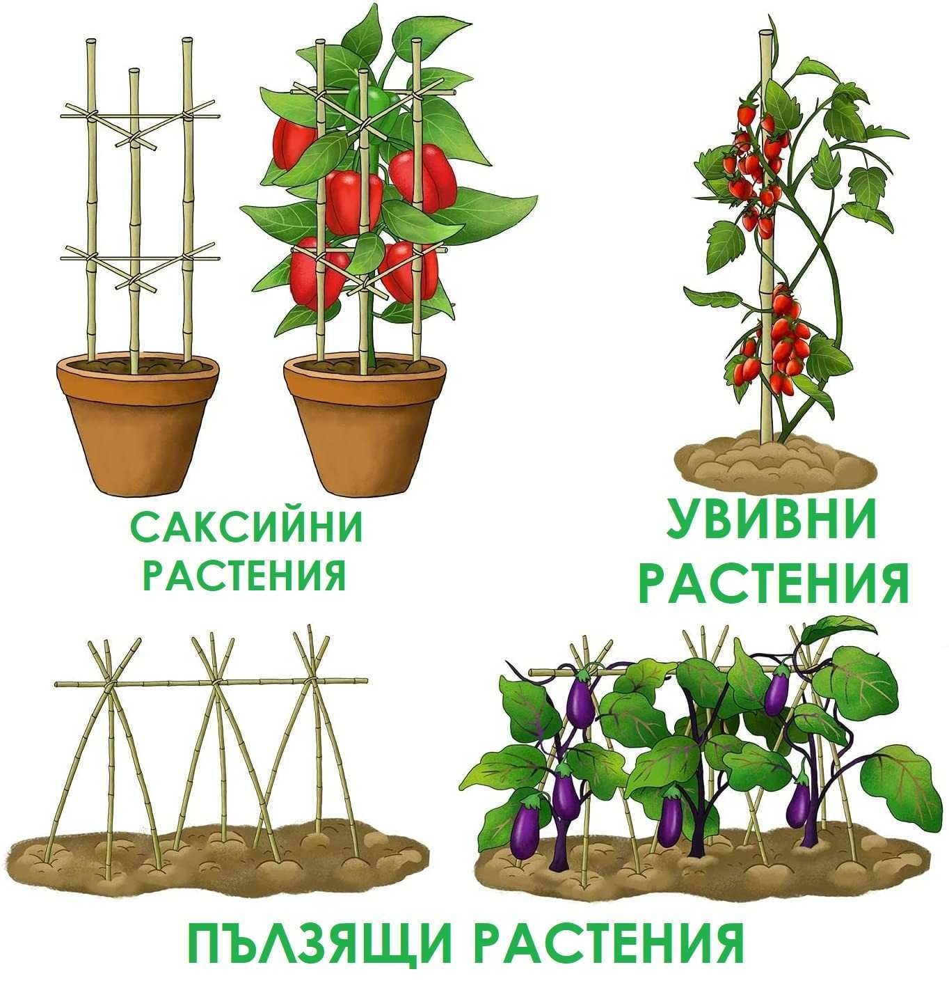 Колчета за домати бамбук 180/210см бамбукови пръчки 1.80/2.10м колове