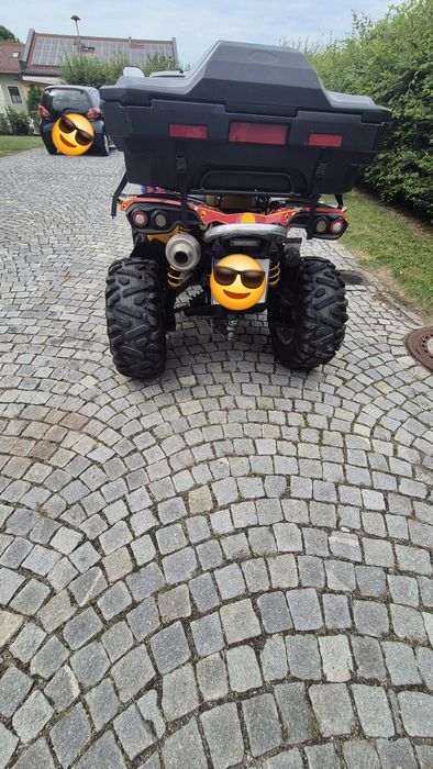 Can am renegade 500