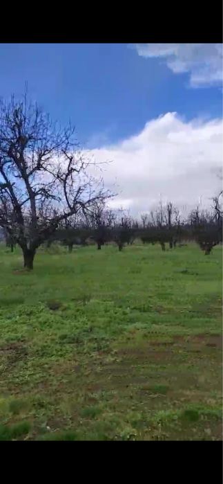 Продава се Земеделски имот в Хасково, Орфей -  кв.м за 10000 €/дка - Снимка #2