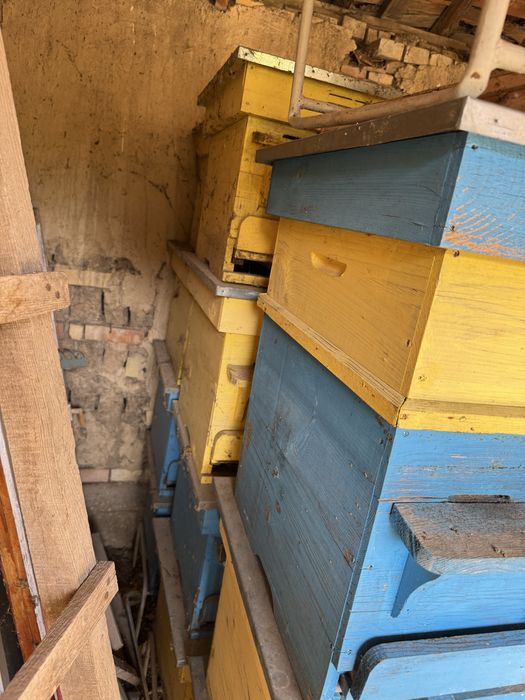 Кошери за пчели ЗДРАВИ