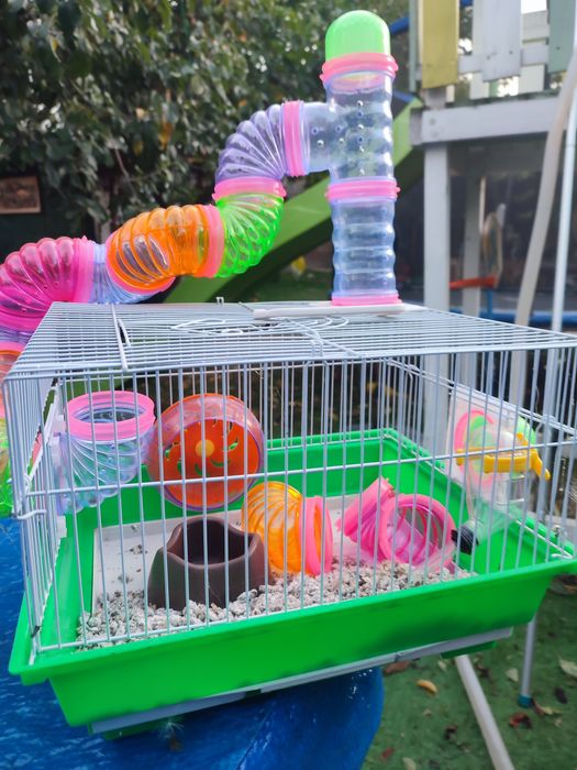 Vând cușcă / căsuța hamster hamsteri