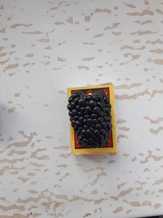 Ежевика Блекджем. Ejevika Blekdjem