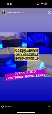 Лампа от желтушки 2000 сутки.