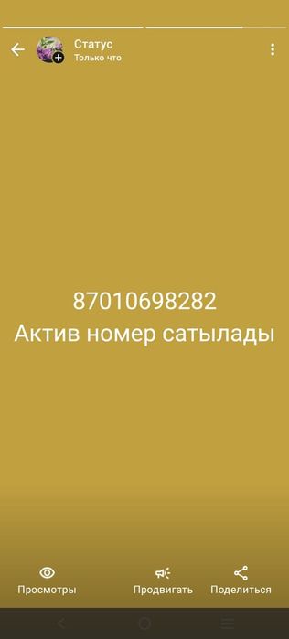 Актив номер Зеркальный