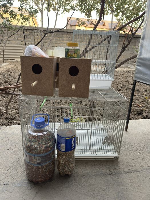 Qafaslar sotiladi yaxshi xolatda