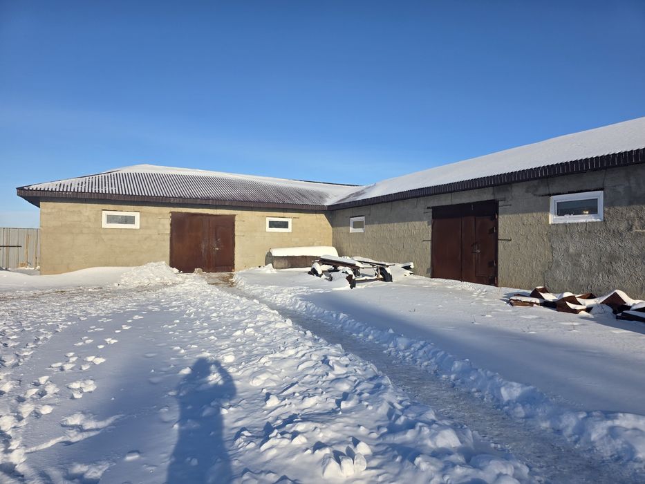 Сдам в аренду откормочную базу на 150 голов асвальтированный доступ