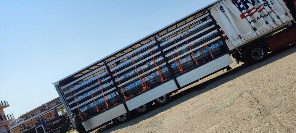 Placa galbena, tego, kaufmann k1