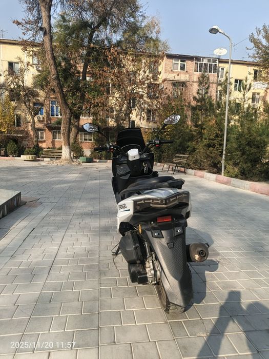 Tiger srochna sotiladi