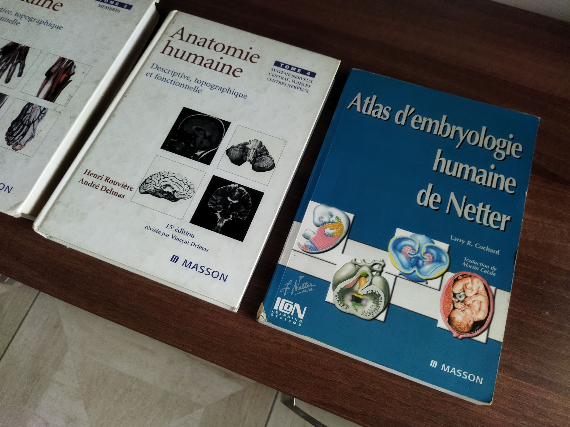 Anatomie umana dictionar termeni medicali atlas embriologie fran