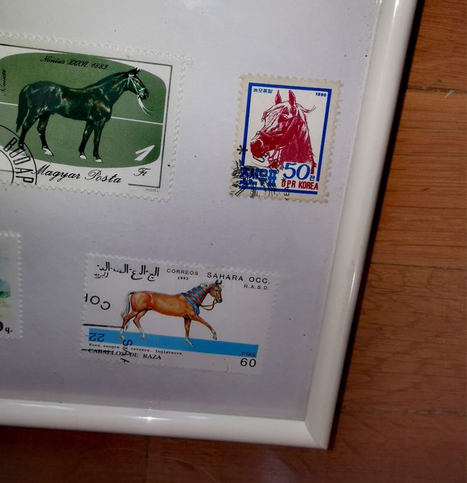 Картина от пощенски марки 17 бр. коне в бяла рамка 20,5 х 28,5 х 2 см