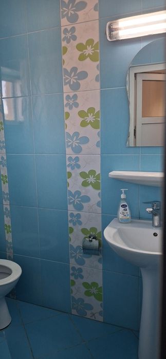 Cazare  Tășnad -Casa Bodian-
