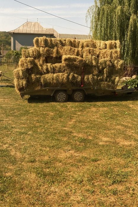 Vând baloți de fân