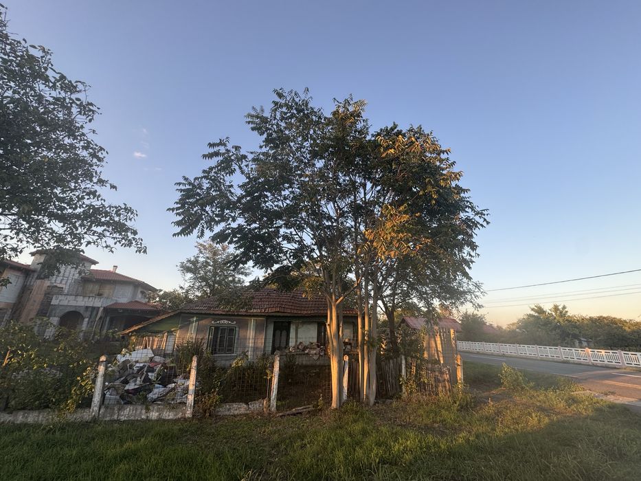 Casa Visinii, Jud Calarasi - 330mp2 + Anexe + Curte 1900m2