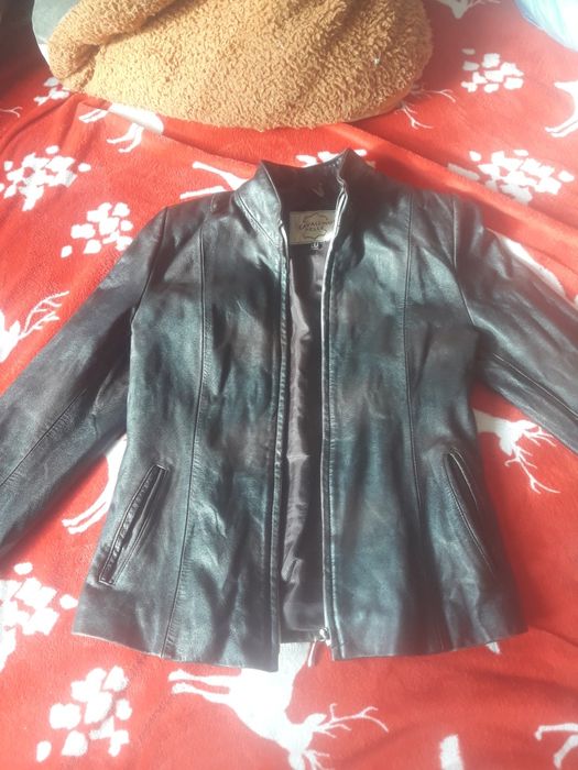 Vind geaca dama piele originala  scurta