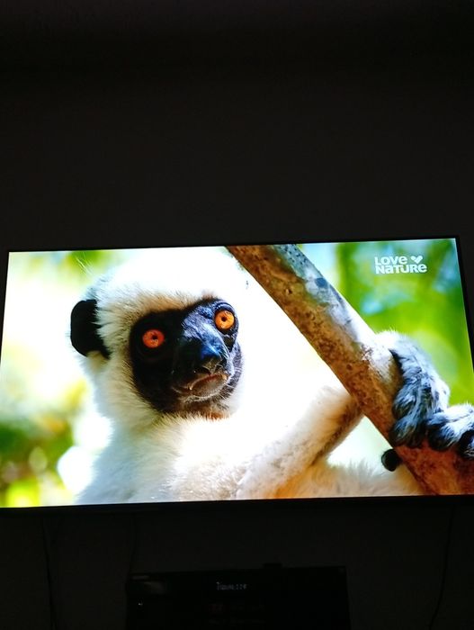 Vând Tv Panasonic OLED TX 55  LZ1000E