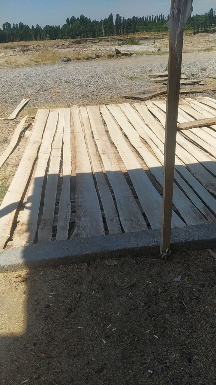 Tusin strapila chorni potolok pilorama xizmat
