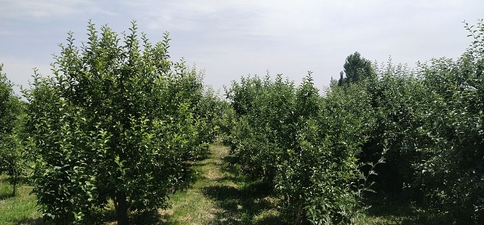 Мини зона отдыха в Калача