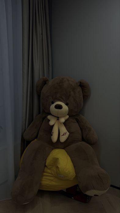 Большая мягкая мишка