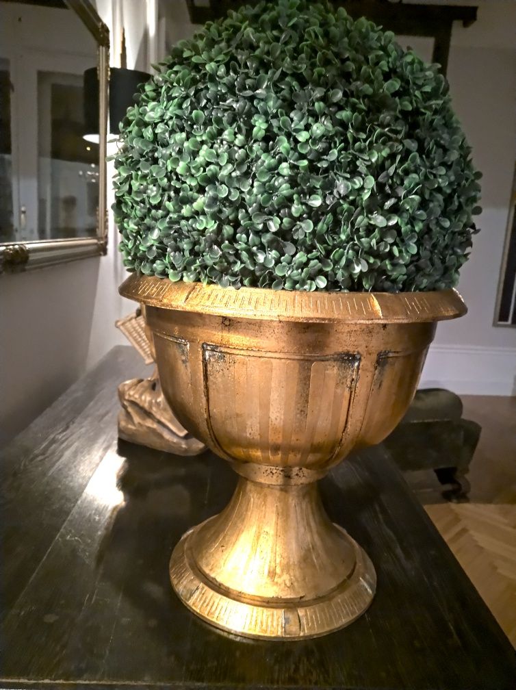 Buxus + jardiniera vintage 50 cm