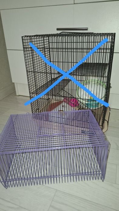 Клетки для хомяка фиолетовая