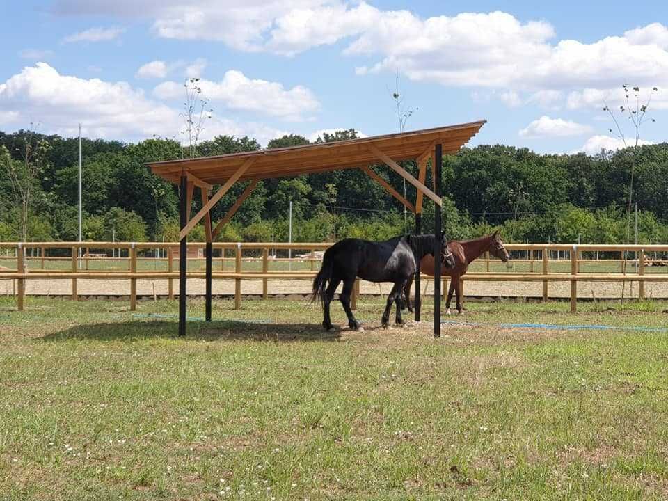 Pensiune cai Bucuresti Club Echitatie Hobby Land Ranch 400 Eur