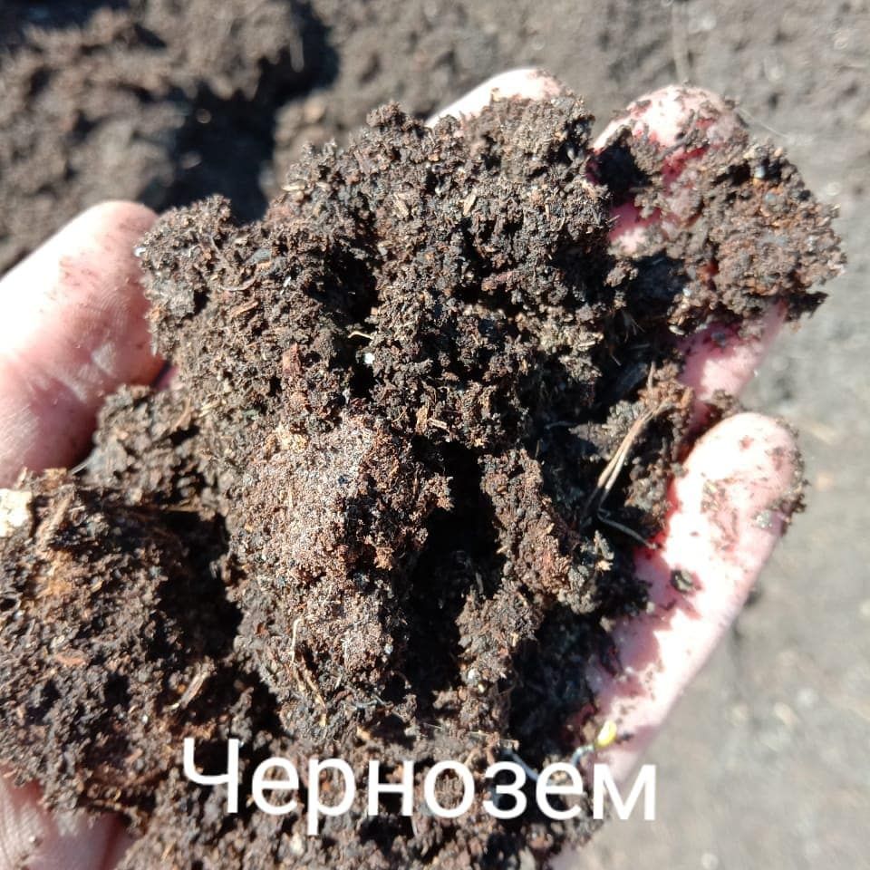 Чернозем перегной, двух летней выдержки. Чистый.