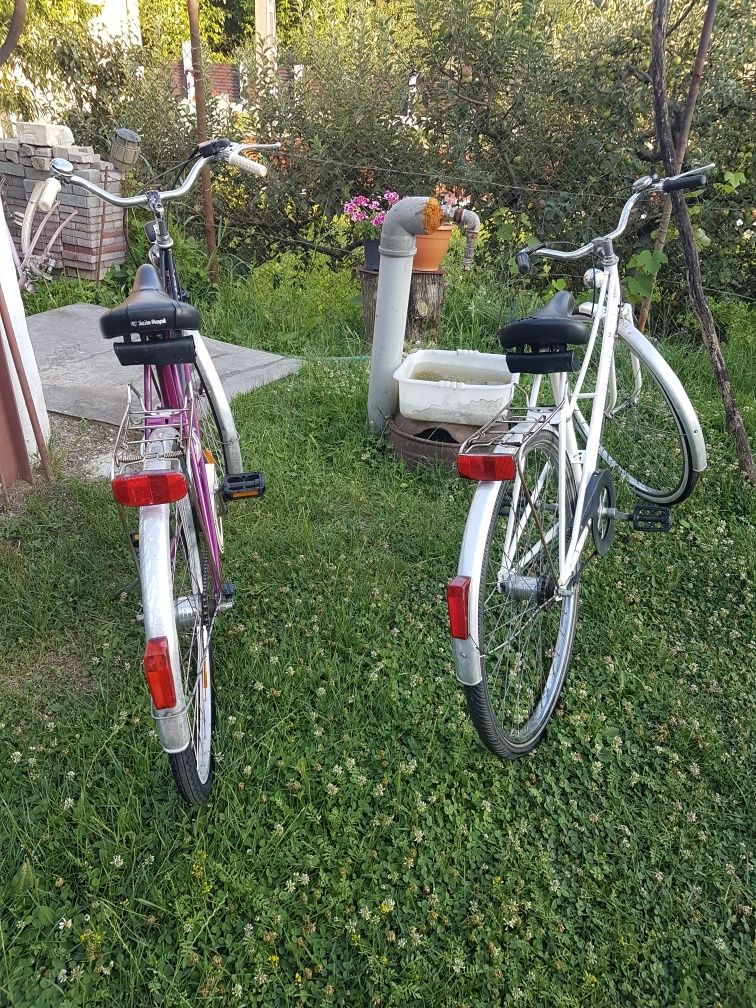 Vand doua biciclete Pegasus din aluminiu la pret de una